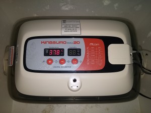 20160316_204520